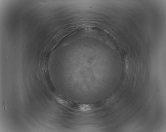 X0000067890091200604131339