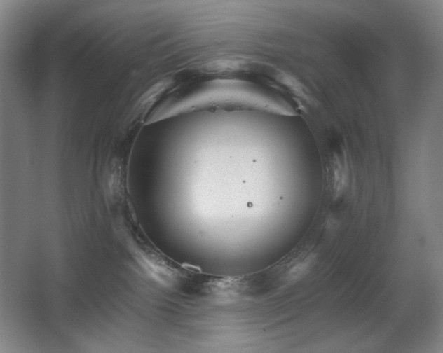 X0000067890092200604131339