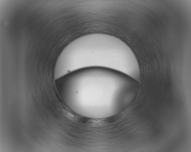 X0000067890093200604131339