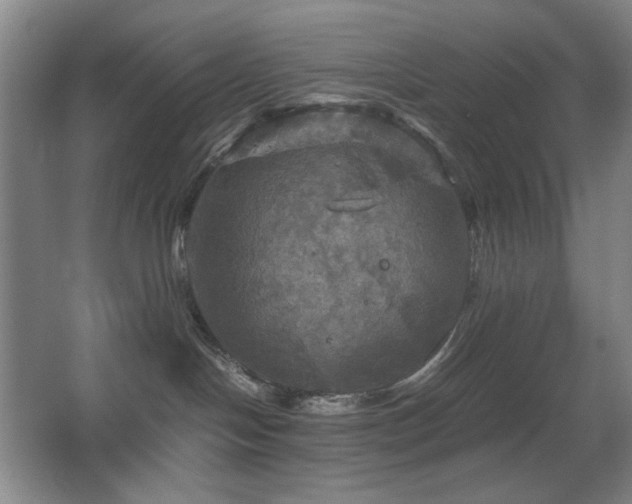 X0000067890094200604131339