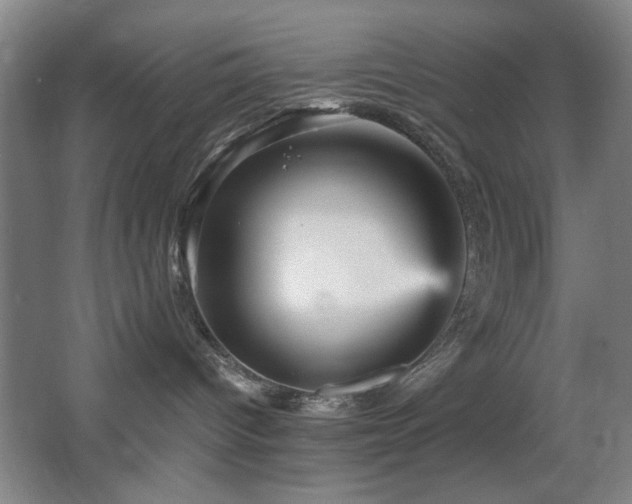 X0000067890096200604131340