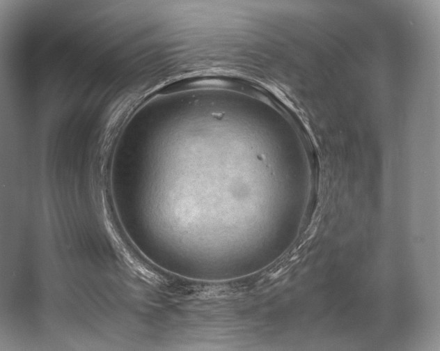 X0000067890097200604131339