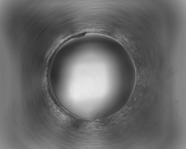 X0000067890098200604131339