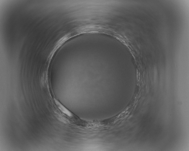 X0000067890099200604131339