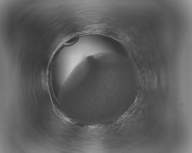 X0000067890100200604131339