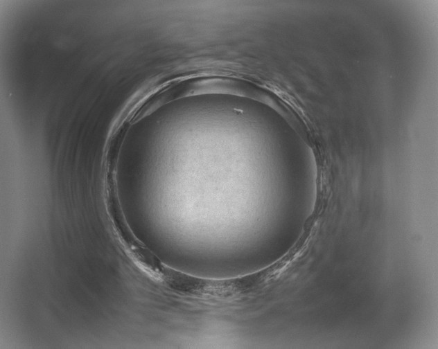 X0000067890101200604131339