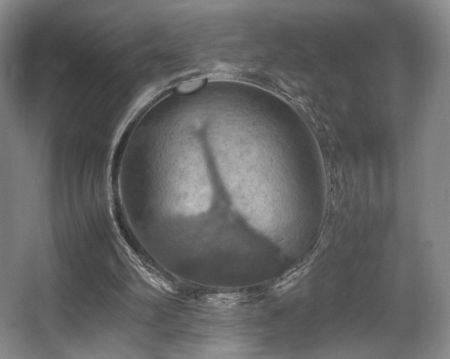 X0000067890102200604131339