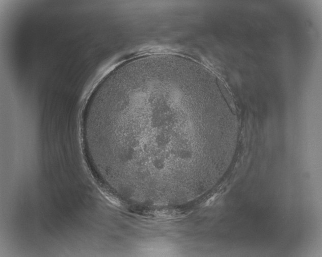 X0000067890103200604131339