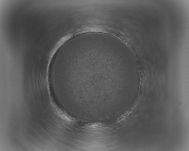 X0000067890104200604131339