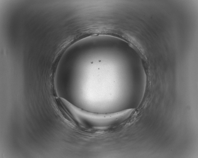 X0000067890105200604131339