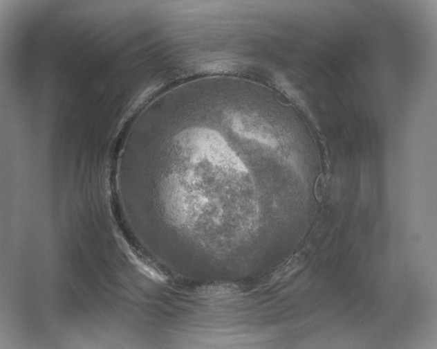 X0000067890106200604131339