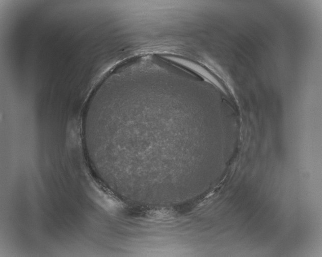 X0000067890107200604131339