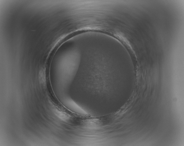 X0000067890108200604131339