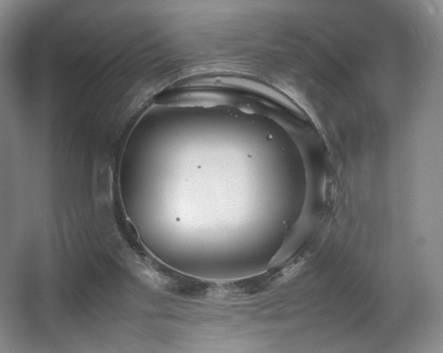 X0000067890109200604131338