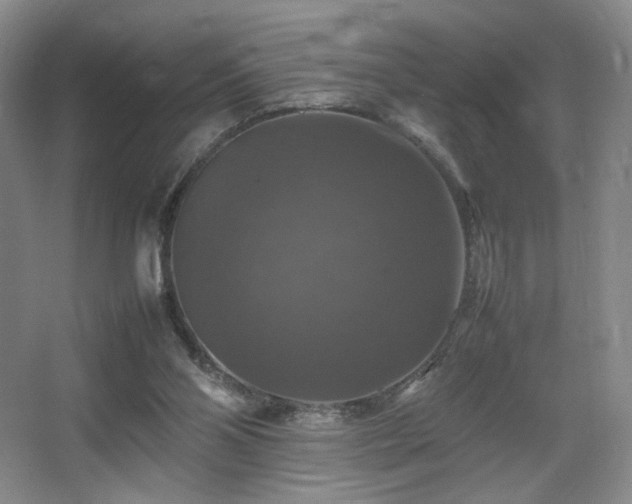 X0000067890110200604131338