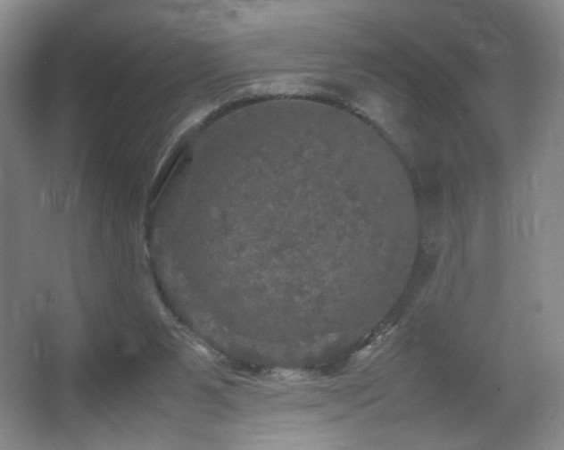 X0000067890111200604131338