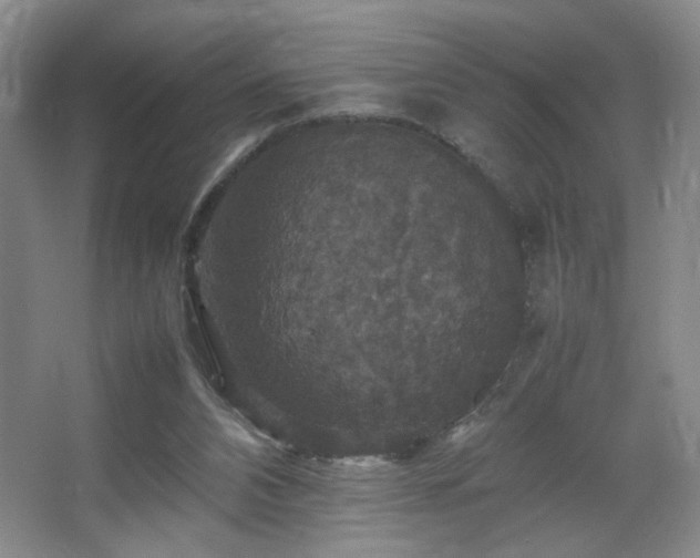 X0000067890112200604131338