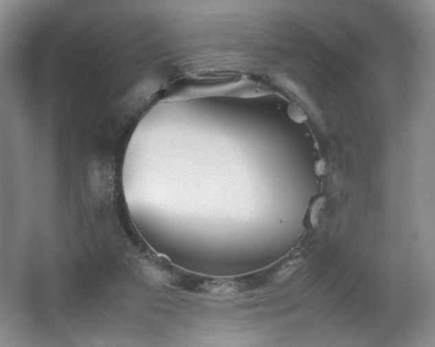 X0000067890113200604131338