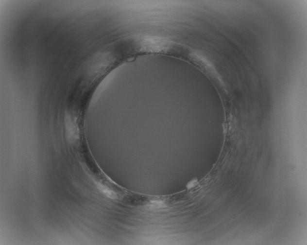 X0000067890114200604131338