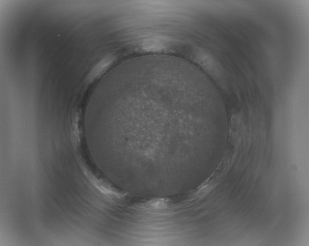 X0000067890116200604131338