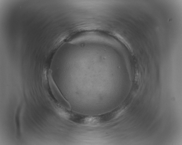 X0000067890117200604131338