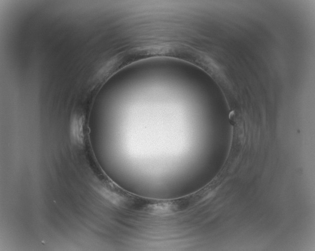 X0000067890118200604131338