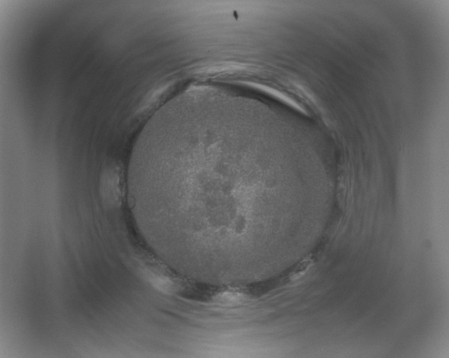 X0000067890119200604131338