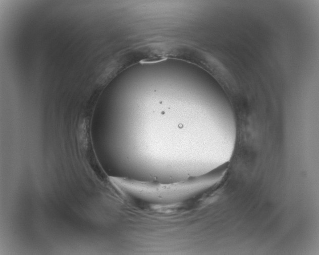 X0000067890121200604131338