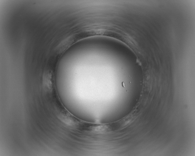 X0000067890122200604131338