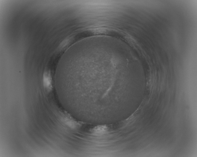 X0000067890124200604131338