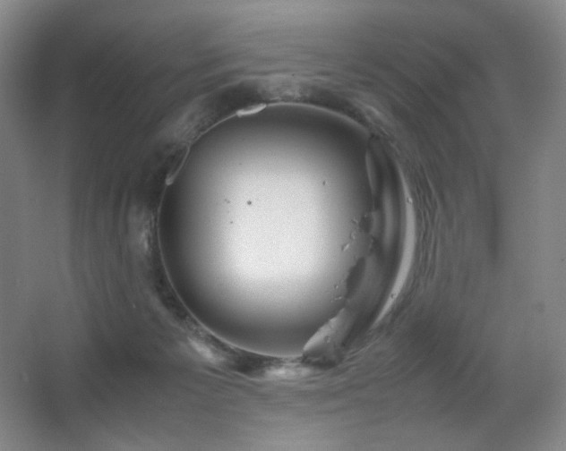 X0000067890125200604131338