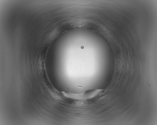 X0000067890126200604131338