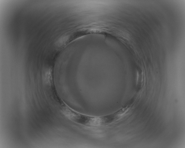 X0000067890127200604131338