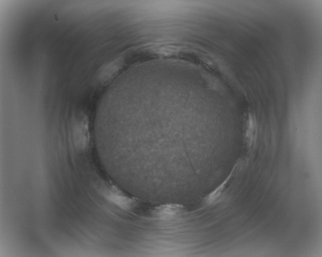 X0000067890128200604131338