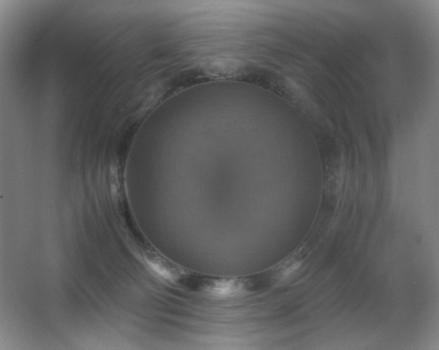 X0000067890130200604131338