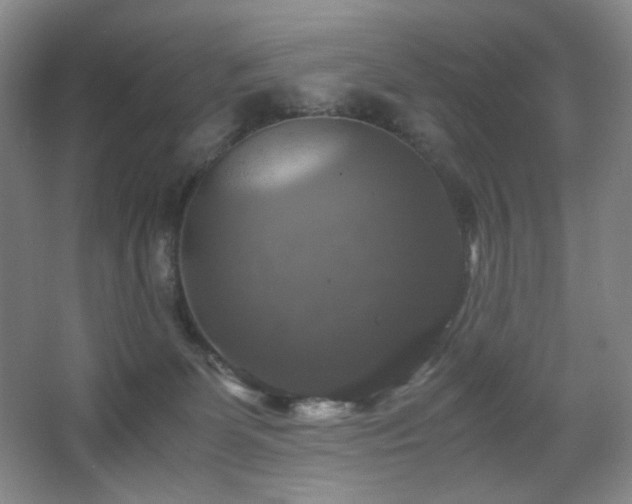 X0000067890131200604131338