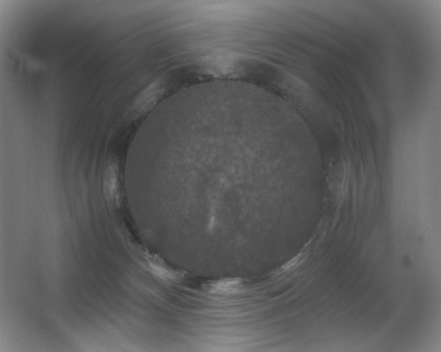 X0000067890132200604131338