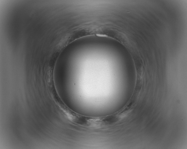 X0000067890133200604131338