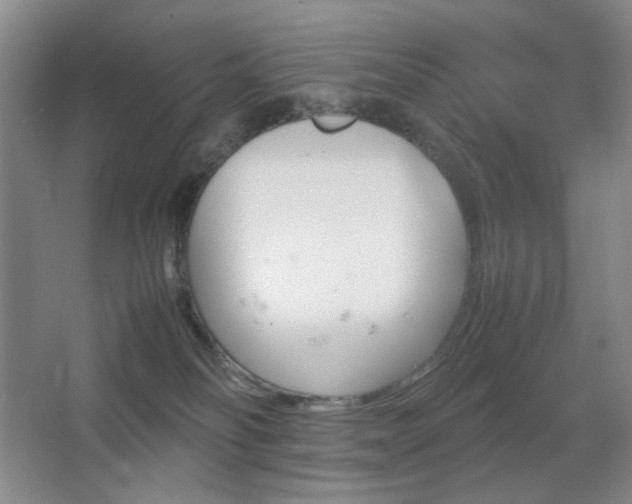 X0000067890134200604131338