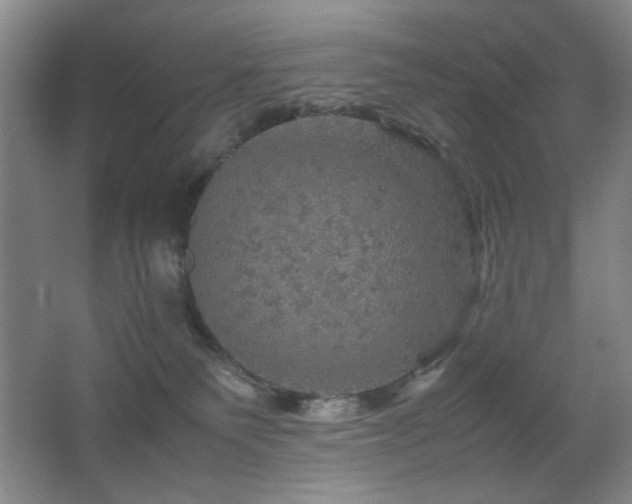 X0000067890135200604131338