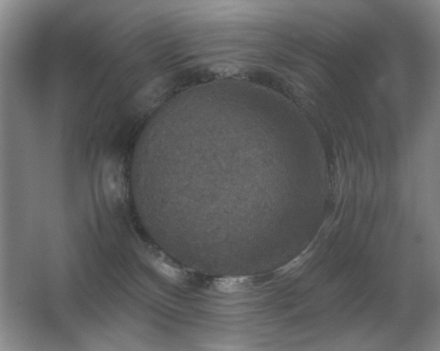 X0000067890136200604131338