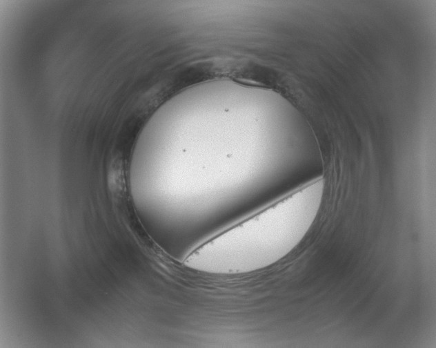 X0000067890137200604131338