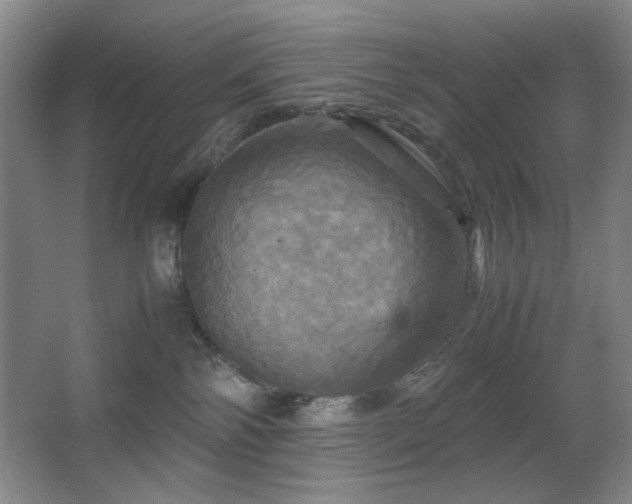 X0000067890138200604131338