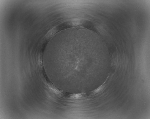 X0000067890140200604131338