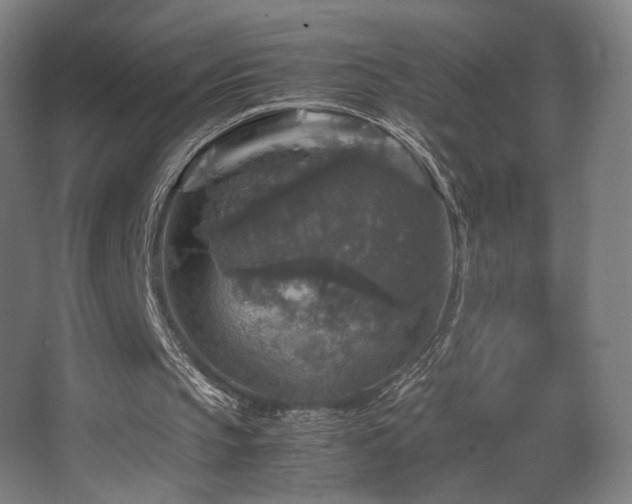 X0000067890145200604131337