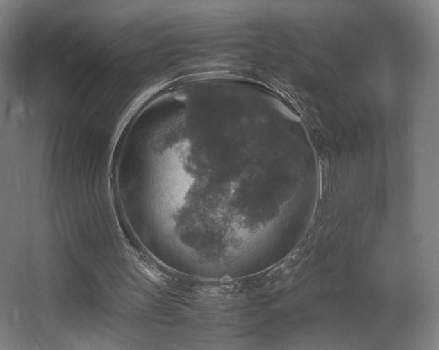 X0000067890147200604131337