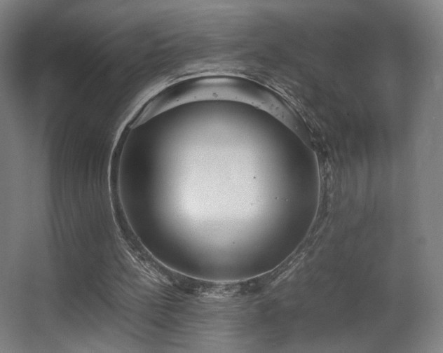 X0000067890148200604131337