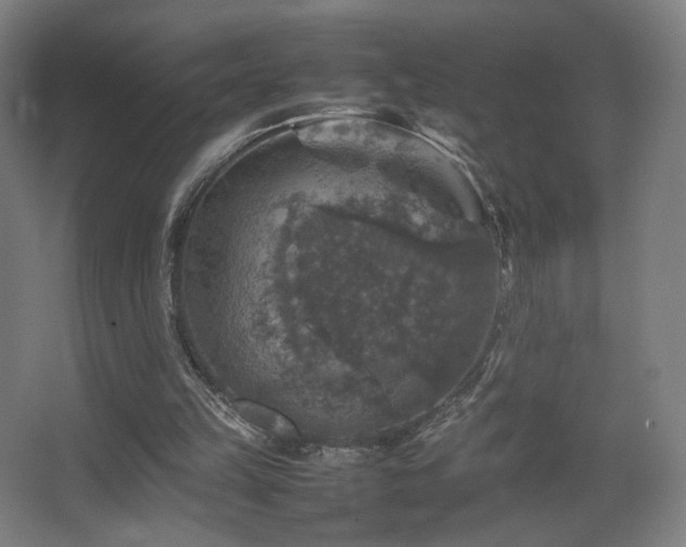 X0000067890149200604131337