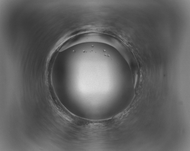 X0000067890150200604131337