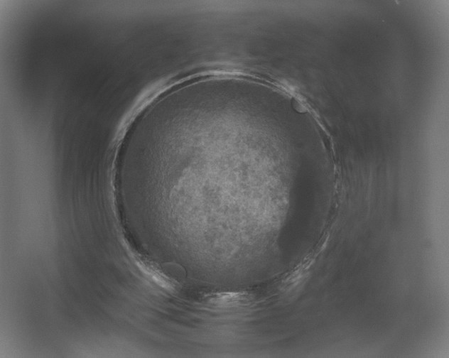 X0000067890151200604131337